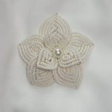 Ava Beaded Hair Clip