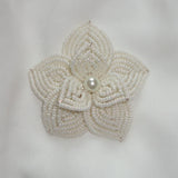 Ava Beaded Hair Clip